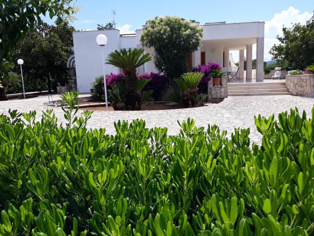 Villa vista mare - con veranda e giardino room 1