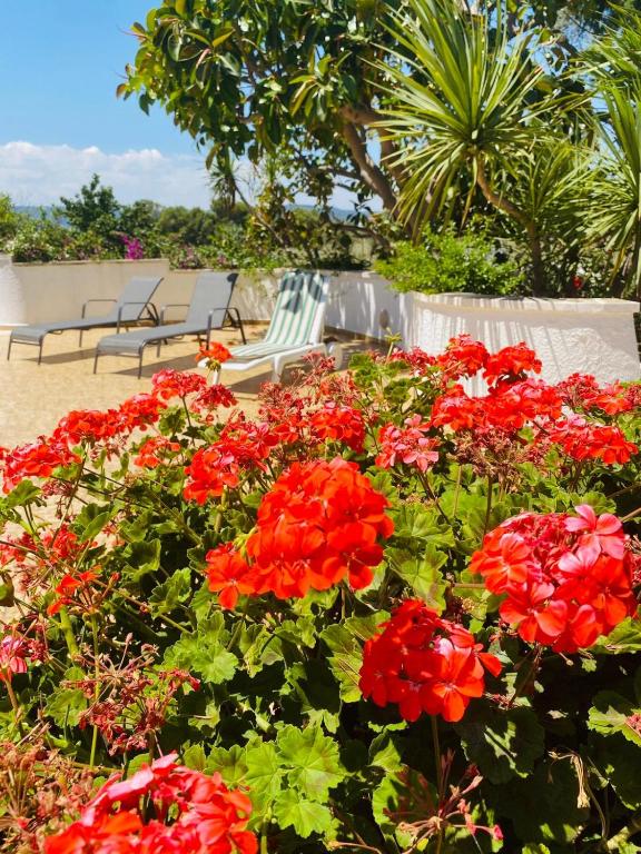 Villa vista mare - con veranda e giardino room 3