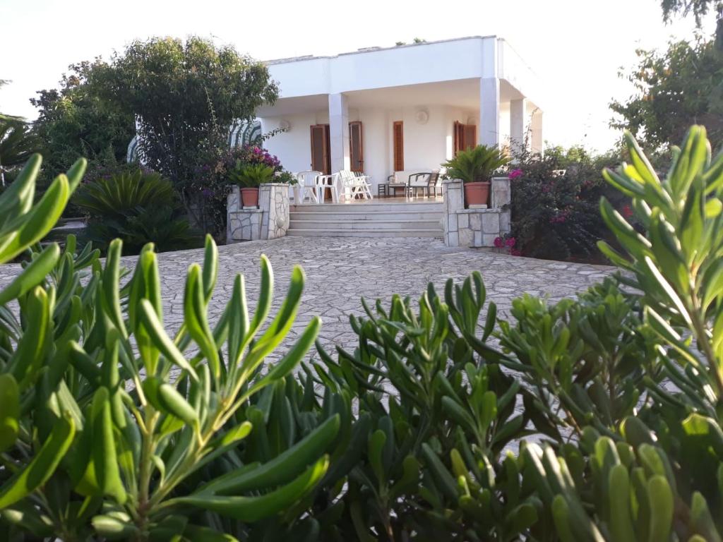 Villa vista mare - con veranda e giardino room 4