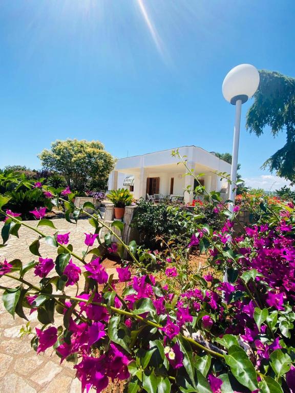 Villa vista mare - con veranda e giardino room 5