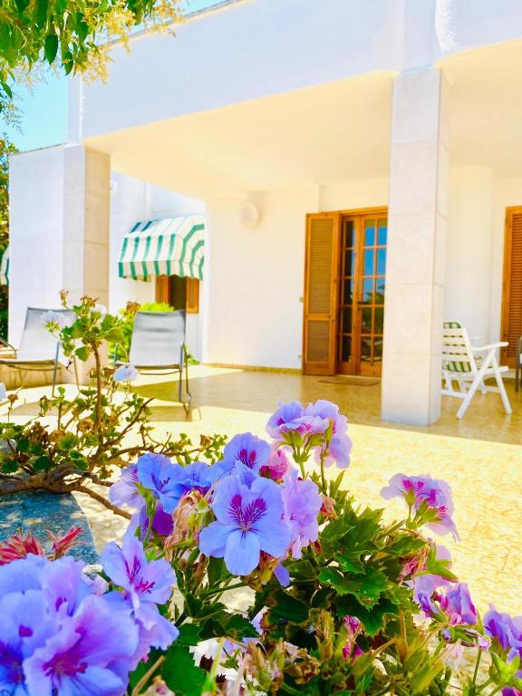 Villa vista mare - con veranda e giardino room 6